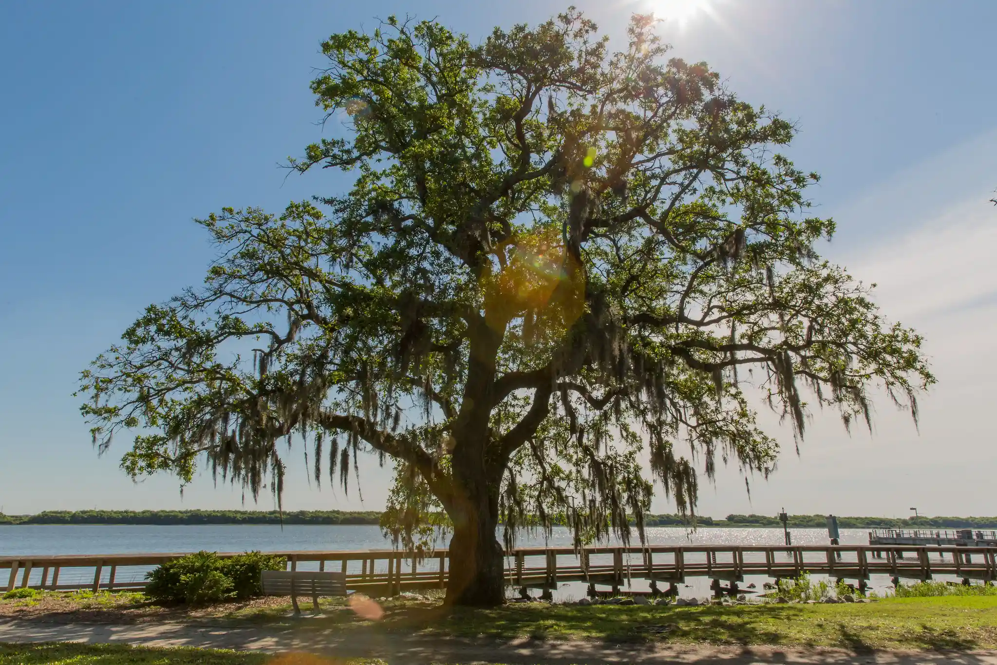 Riverfront Park landmark in North Charleston South Carolina