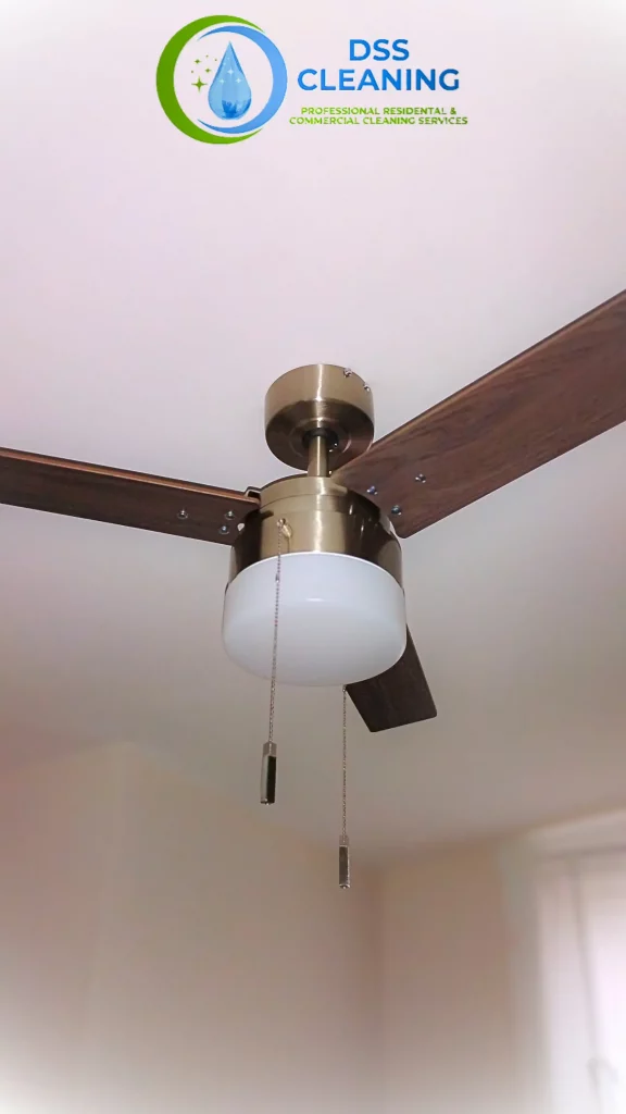 Professional Home Cleaning Services in Charleston South Carolina Lowcountry | DSS Cleaning